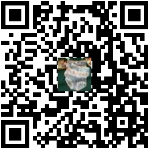 Code QR du produit