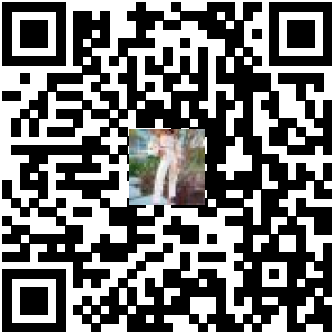 Code QR du produit