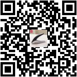 Code QR du produit