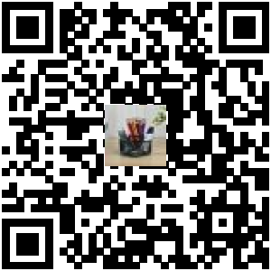 Code QR du produit