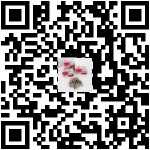 Code QR du produit