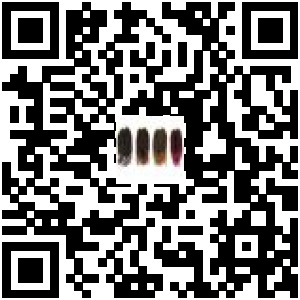 Code QR du produit