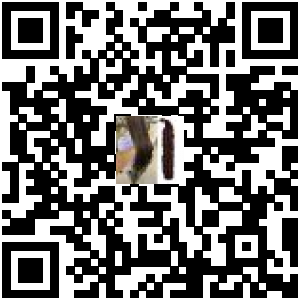 Code QR du produit