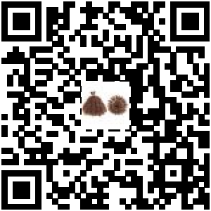 Code QR du produit