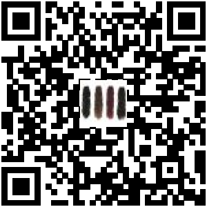 Code QR du produit