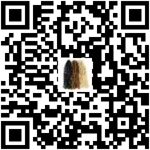 Code QR du produit