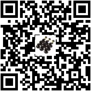 Code QR du produit