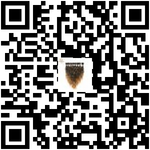 Code QR du produit