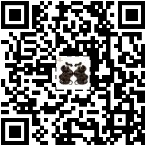Code QR du produit