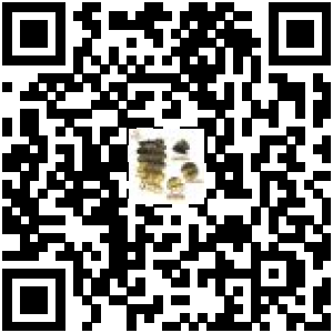 Code QR du produit