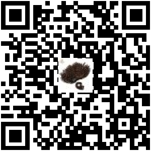 Code QR du produit