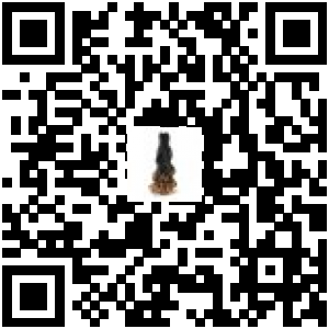 Code QR du produit