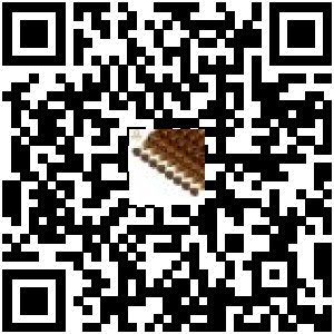 Code QR du produit