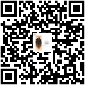 Code QR du produit