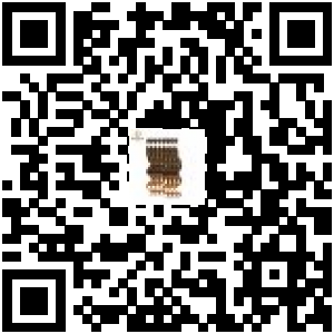 Code QR du produit