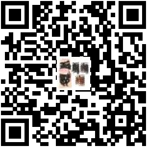 Code QR du produit