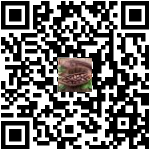Code QR du produit