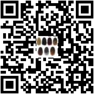 Code QR du produit