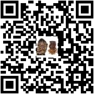 Code QR du produit