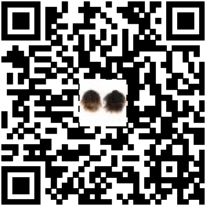 Code QR du produit