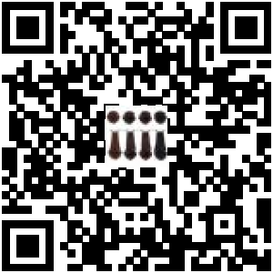 Code QR du produit