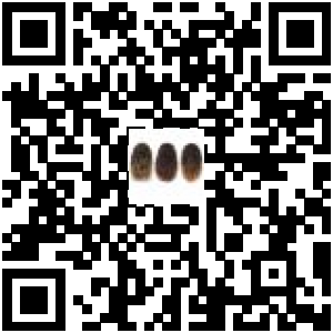 Code QR du produit