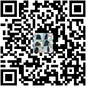 Code QR du produit