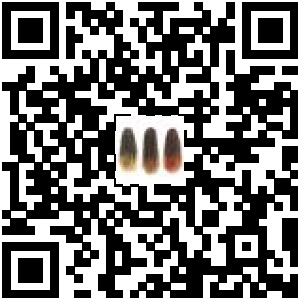 Code QR du produit