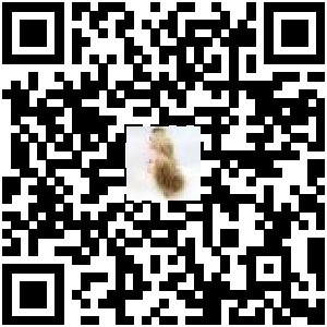 Code QR du produit
