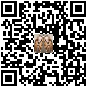 Code QR du produit