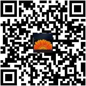 Code QR du produit