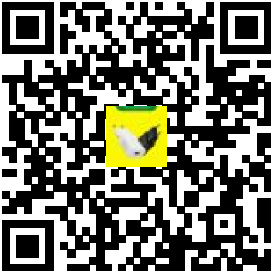 Code QR du produit