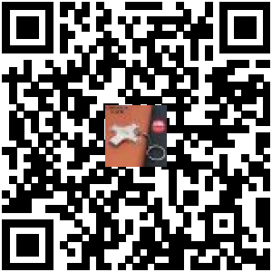 Code QR du produit