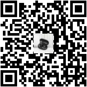 Code QR du produit