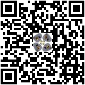 Code QR du produit