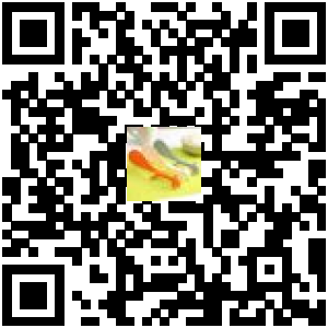Code QR du produit