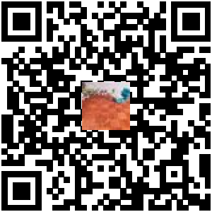 Code QR du produit