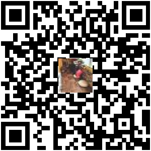 Code QR du produit