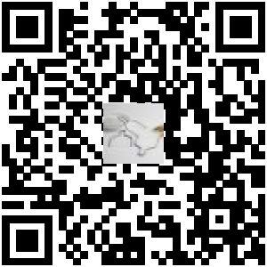 Code QR du produit