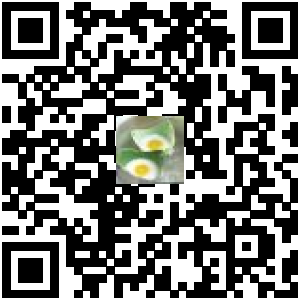 Code QR du produit