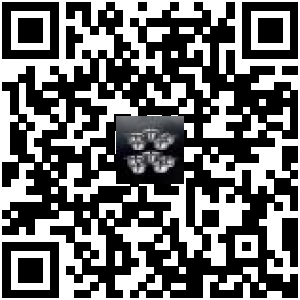 Code QR du produit
