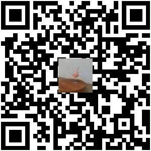 Code QR du produit