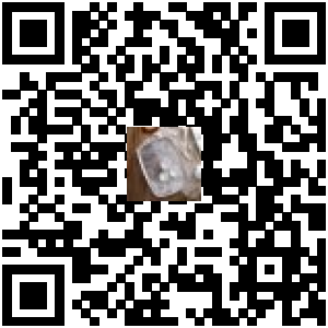 Code QR du produit
