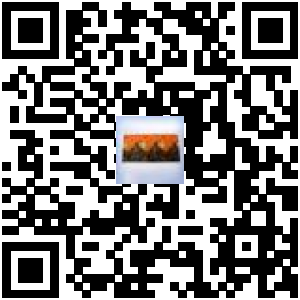 Code QR du produit
