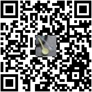 Code QR du produit