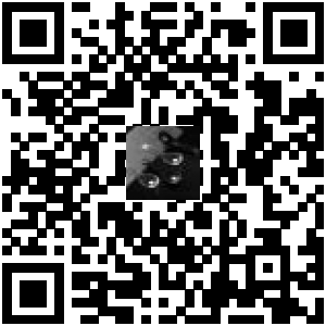 Code QR du produit