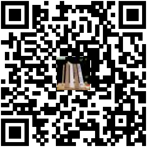 Code QR du produit