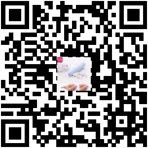 Code QR du produit