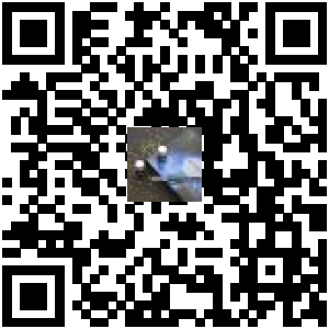 Code QR du produit