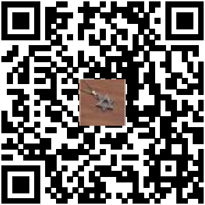Code QR du produit